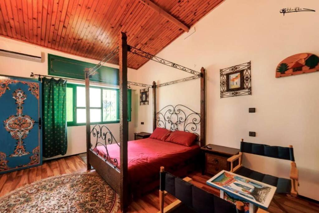 Dar Casa Plasa Grande Apartment