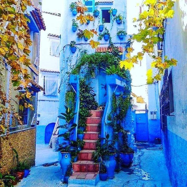 Dar Casa Plasa Grande * Chefchaouen