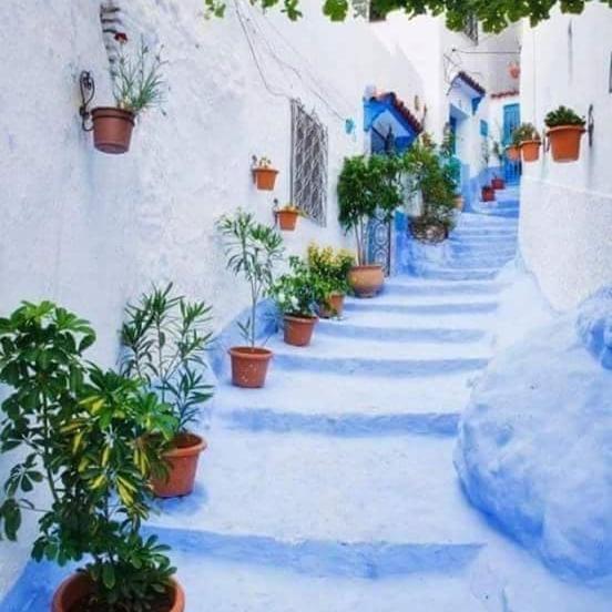 Dar Casa Plasa Grande * Chefchaouen