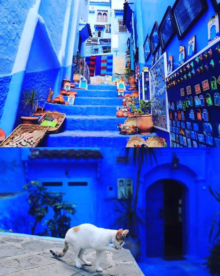Apartment Dar Casa Plasa Grande Chefchaouen